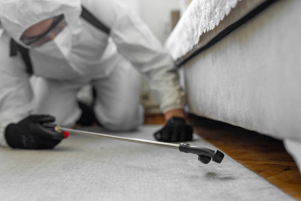 Professional Mosquito Control technician working in Gang Mills, NY