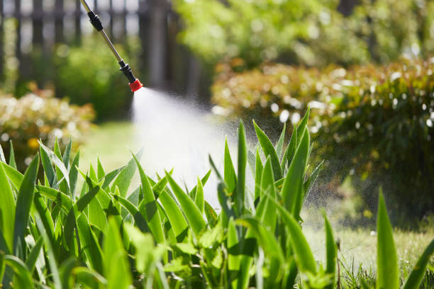 24/7 Emergency Mosquito Control experts in Gang Mills, NY