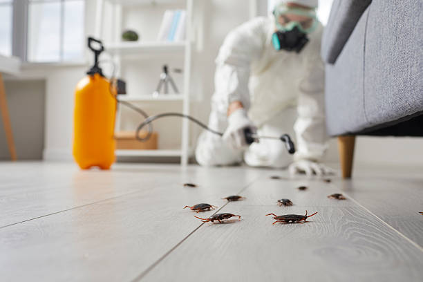 Trusted Cockroach Control service in Gang Mills, NY - Nex Pest Control
