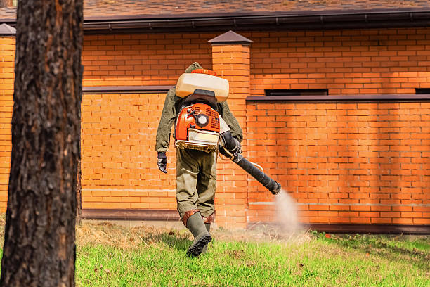 Trusted Mosquito Control service in Gang Mills, NY - Nex Pest Control